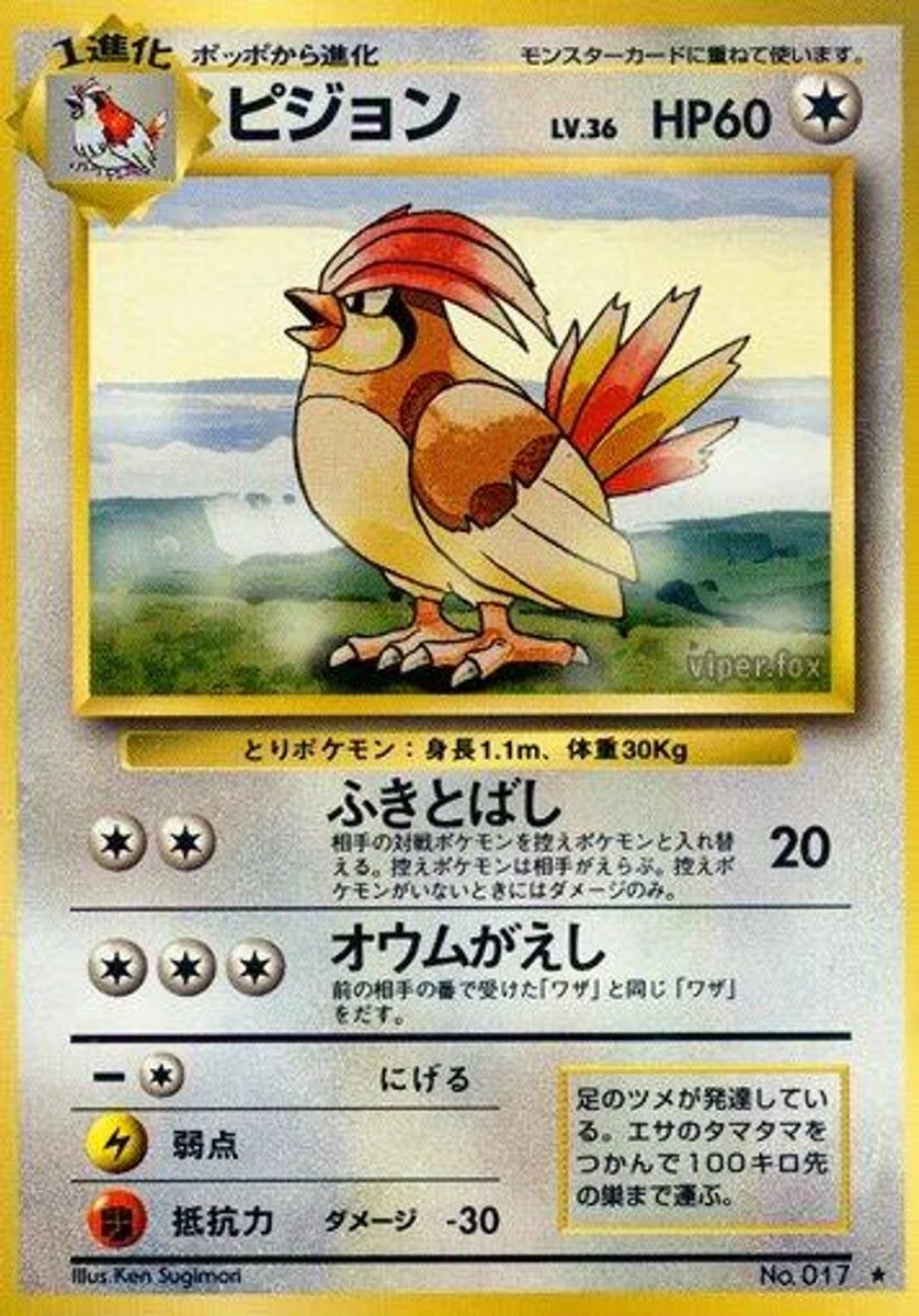Pidgeotto 「EXPANSION_PACK No. 066」「JP」